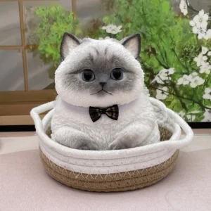 9af2vzx2x6dA (1) Kittyzz™ 12#