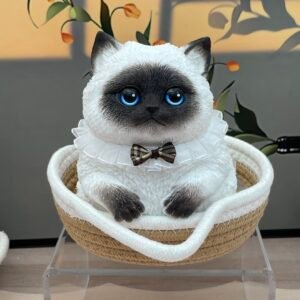 s1ar56qwfa65s2fd62asr (4) Kittyzz™ 20#